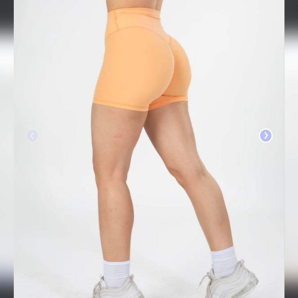 Paragon Sculptseam Plus Shorts